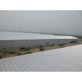 Steel Structure Shed with Poultry Equipments
